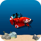 آیکون‌ Flappy Betta