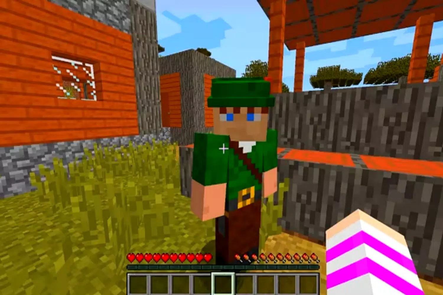 Download do APK de Robin Hood Skins PE Minecraft para Android