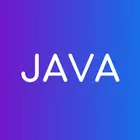 Java Champ: Learn programming ícone