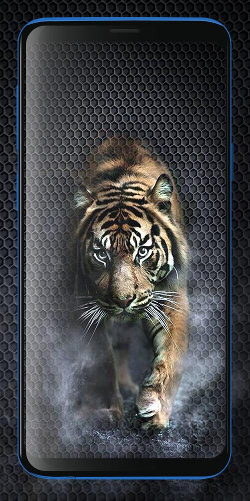 Terbaru 30 Gambar Harimau Wallpaper Keren 3d Gambar Kitan