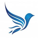 Triloka Tiket, Tour, Paket, Pu