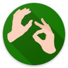 Basics of Sign Language icône