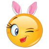 The Adult Emoji App biểu tượng