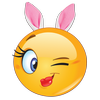 The Adult Emoji App আইকন