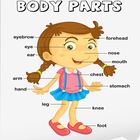 Human Body Parts biểu tượng