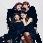 Blackpink Wallpaper icon