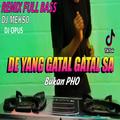 DJ De Yang Gatal Gatal Sa Bukan PHO Remix 2020