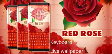 Teclado rosa roja 2023