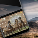 Дикие лошади - Тема для клавиатуры APK