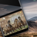 Chevaux sauvages - Thème pour le clavier APK