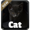 Cat GO Keyboard