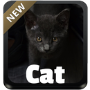 Cat GO Keyboard APK