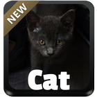 Cat GO Keyboard icon