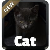 Cat GO Keyboard icon