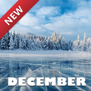 December Theme APK