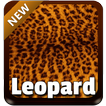 Leopard clavier