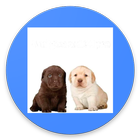 Whatsapp Stickers Perritus ไอคอน