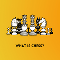 ”What Is Chess?