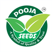 Team Of Pooja Seeds आइकन
