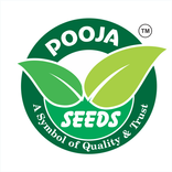 Team Of Pooja Seeds