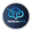 File Down Pro biểu tượng