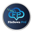 File Down Pro APK