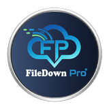 File Down Pro APK