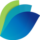 Connected Workflow App - Int иконка