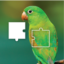 Jigsaw Puzzle Jigsaw Challenge APK