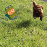 Glan. A Rubbish App