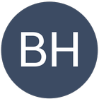 Brand Hire Consulting and Serv icon
