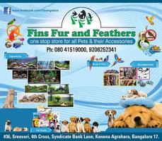 Fins Fur And Feathers v.1 اسکرین شاٹ 1