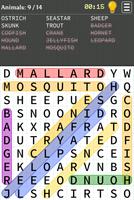 Word Search Plakat