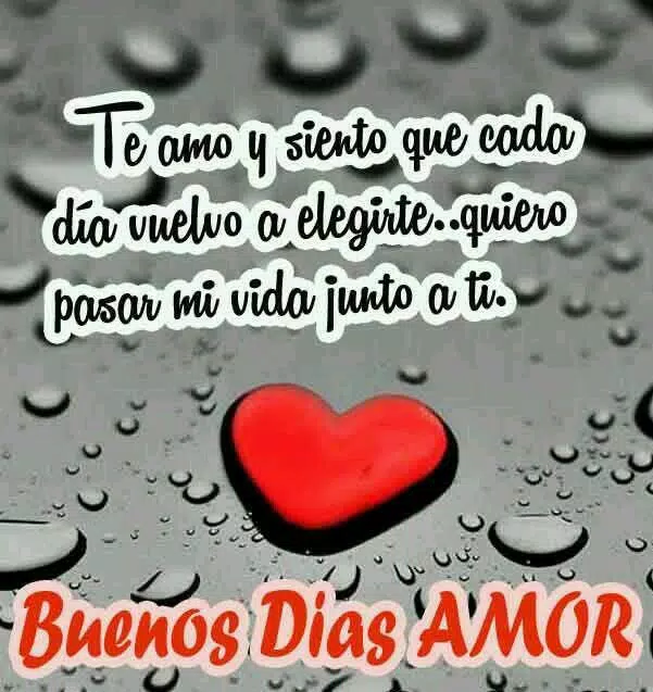 Buenos Días APK para Android Descargar mi amor te amo Buenos Días APK para Android Descargar