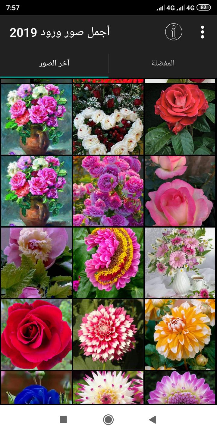 أجمل صور باقات الورود 2019 For Android Apk Download
