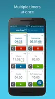 Multi Timer plakat
