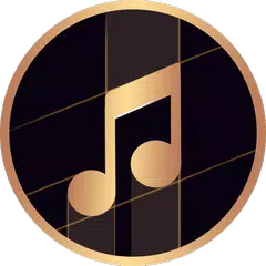 Скачать My Music Player XAPK