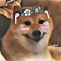 Doge Whatsapp Stickers Tamil
