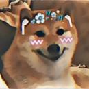 Doge Whatsapp Stickers Tamil APK