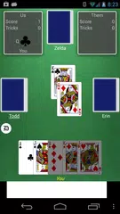 Euchre APK 下載