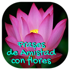 Frases de Amistad con Flores ไอคอน