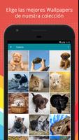 Wallpapers de Mascotas 截圖 1