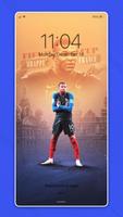 Football Euro Cup Wallpaper 截圖 1