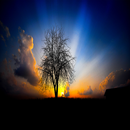 Bible Quotes 2019 APK