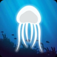 JellyFish Tubarão الملصق