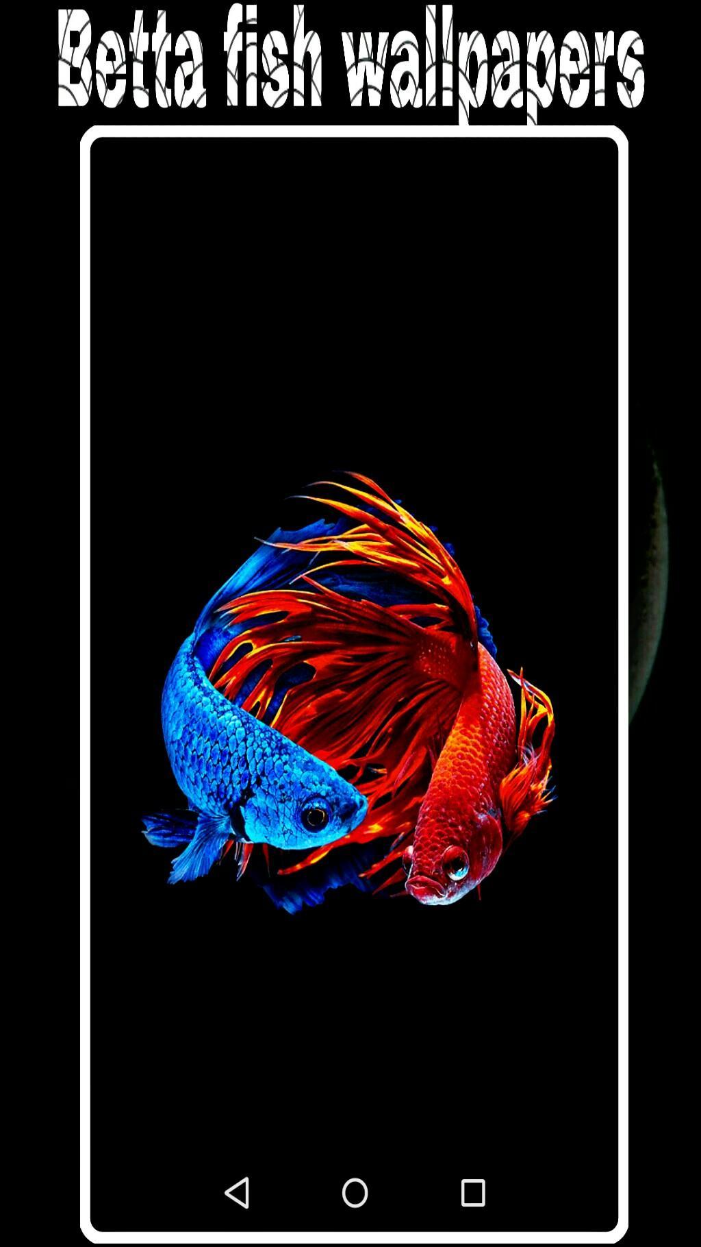 Android 用の ベタの魚の壁紙4k Hd Apk をダウンロード