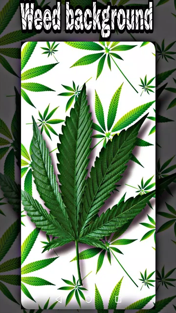 weed backgrounds APK for Android Download