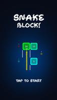 Snake VS Block: Defiance poster