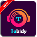 Tubidy MP3 Music Download Tips APK