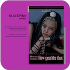 Jennie Blackpink Wallpaper 아이콘